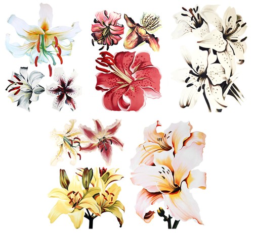 Adesivi murali vinile fiori - adesivi, in