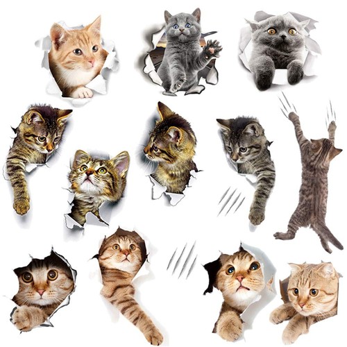 12pcs adesivi murali - 12pcs,